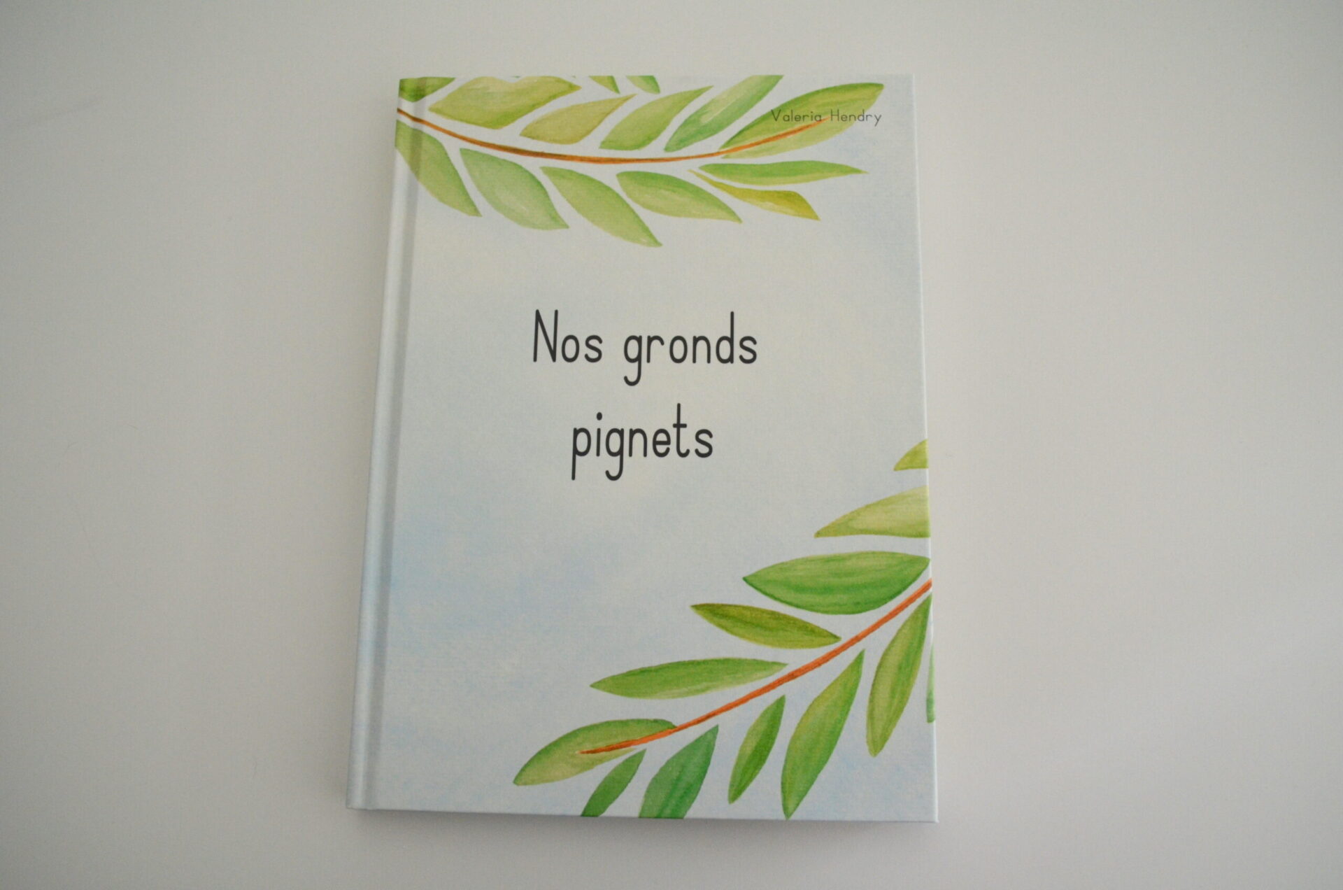 Buchcover "Nos gronds pignets" von Valeria Hendry